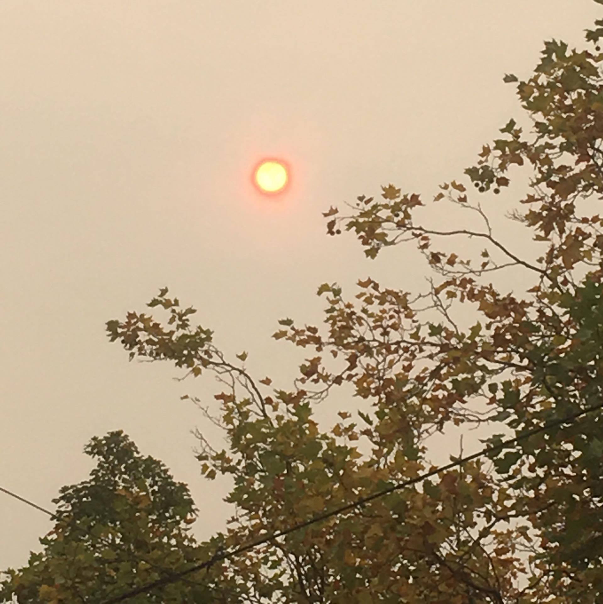 red sun, hurricane ophelia