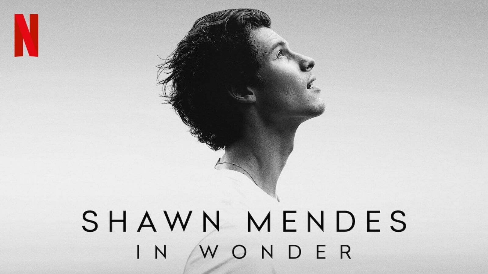 Wonder Shawn Mendes online exercise for